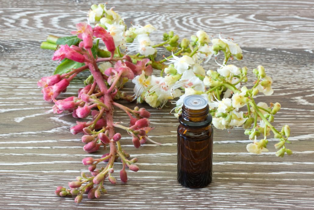 Elixirs & Fleurs de Bach