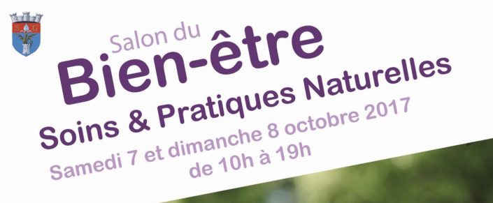 AFFICHE SALON 2017 – copie